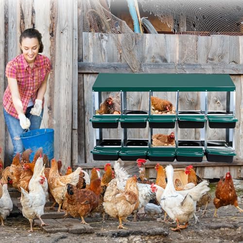 10 Hole 2 Layer Chicken Nesting Box with Legs G967