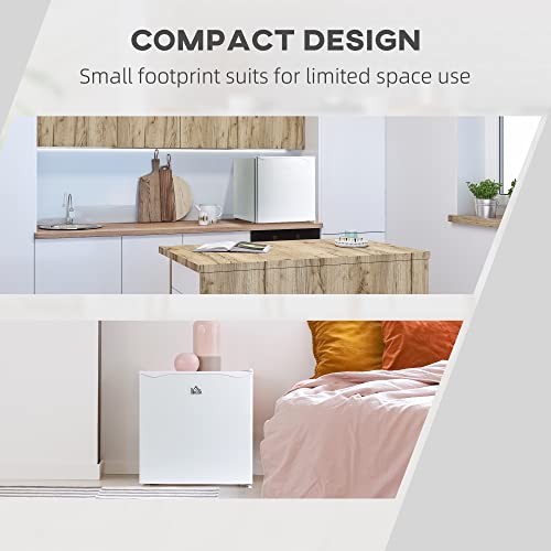 1.1 Cu.Ft Compact Upright Freezer with Removable Shelves S91587