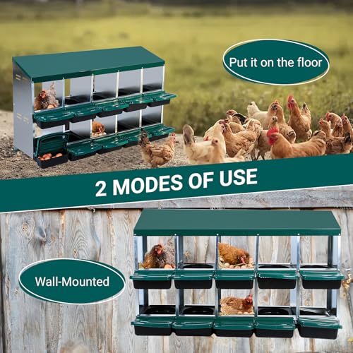 10 Hole 2 Layer Chicken Nesting Box with Legs G967