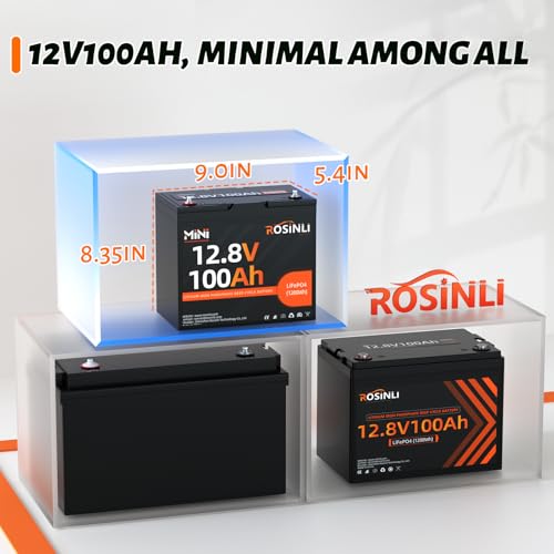 12V 100Ah Group 24 LiFePO4 Battery with 100A BMS Y817984