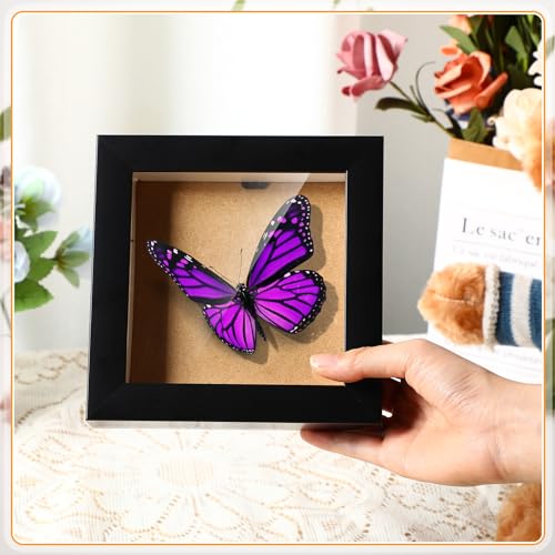 Black 5x5 Inch 5x7 Inch Wood Shadow Box Display Case W839
