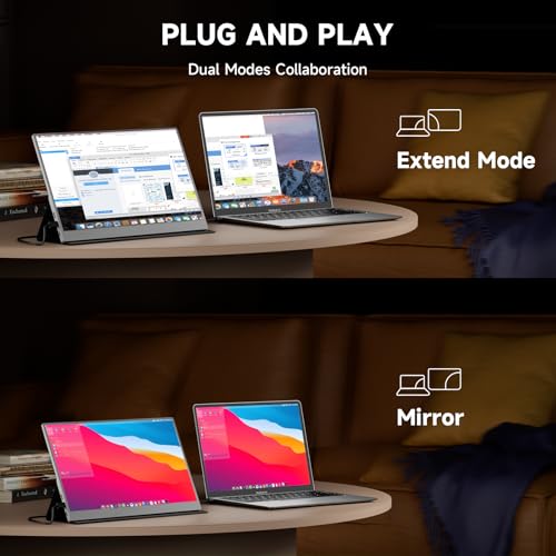 15.6 Inch 1080P IPS Portable Monitor F604535