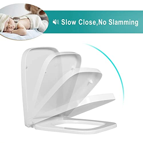 Square Toilet Seat with Adjustable Hinges H234030