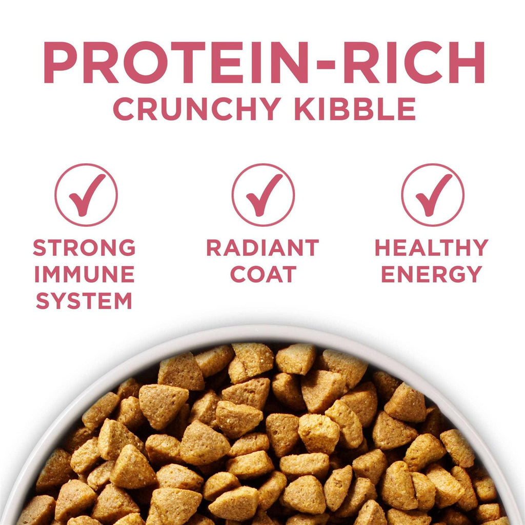 Dry Dog Food D99726