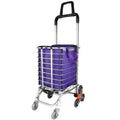 Folding Shopping Cart with Bag O150235