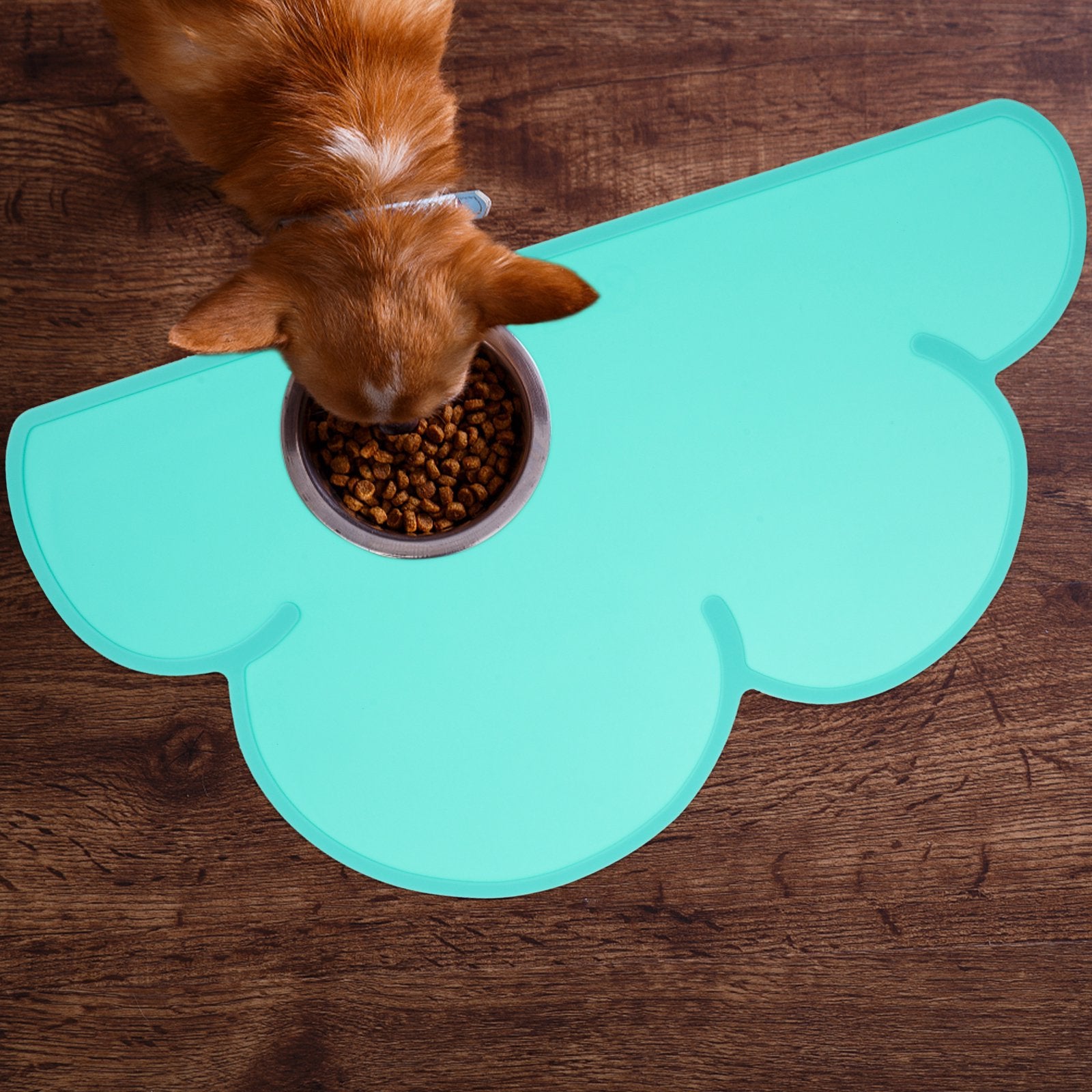 Set of 2 Silicone Pet Placemat R10480