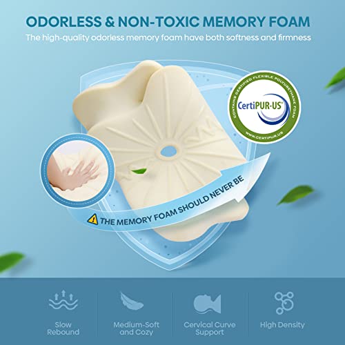 Queen Size Memory Foam Cervical Pillow E35097