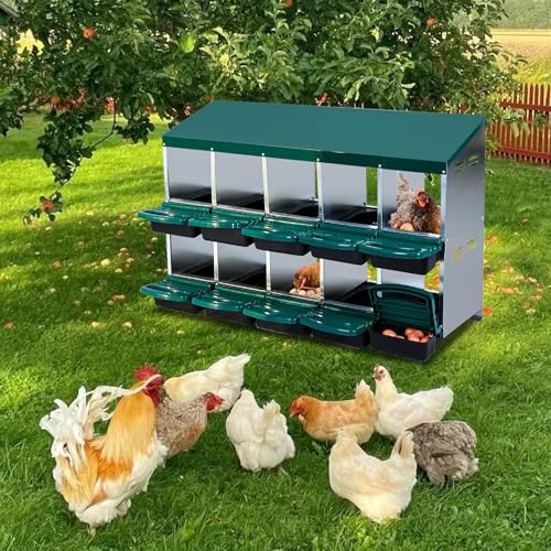 10 Hole 2 Layer Chicken Nesting Box with Legs G967