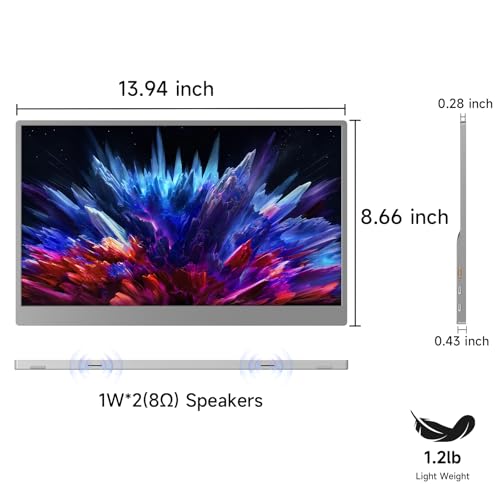 15.6 Inch 1080P IPS Portable Monitor F604535