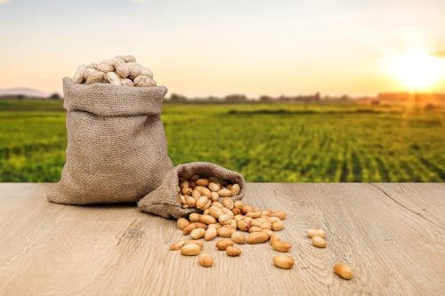 Raw Peanuts in Shell, 25 Pound Bag H127