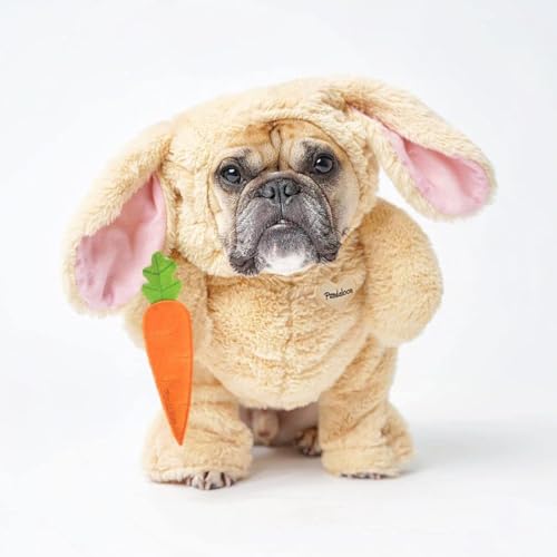 Dog Halloween Costume with Arms for Small and Medium Dogs and Cats F832