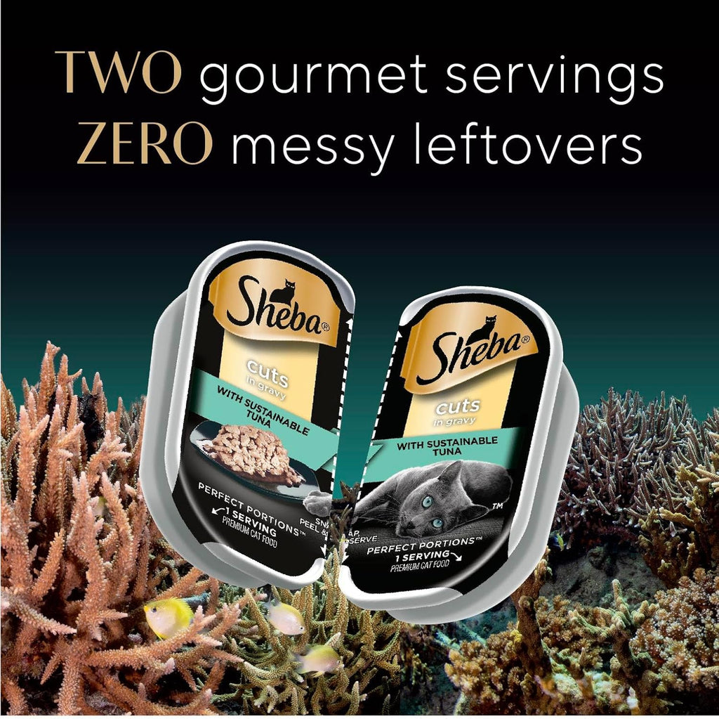24 Count Wet Cat Food Trays, Salmon Trout Tuna Entrée Variety Pack W27089