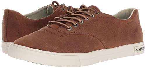 Men's Plimsoll Sneaker U5351