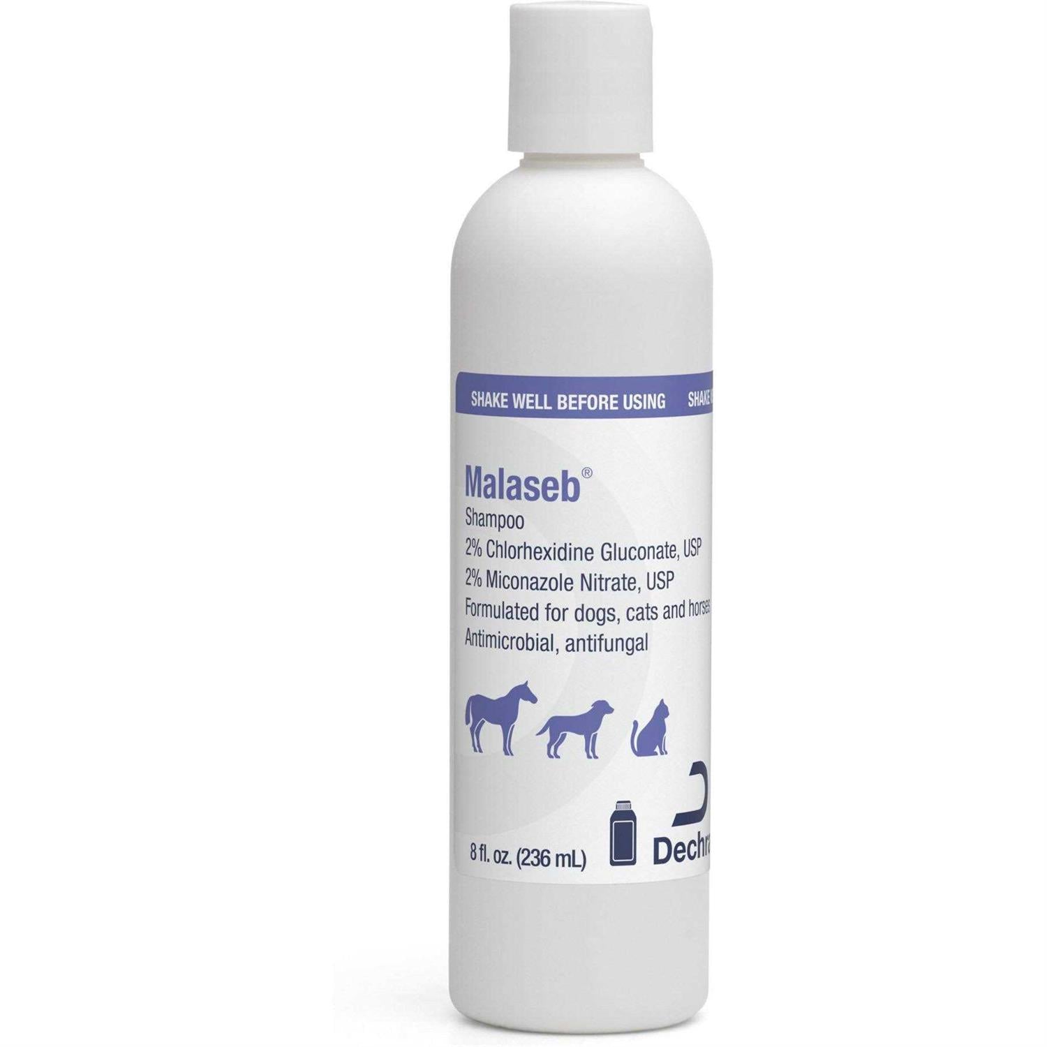 Malaseb Shampoo 8 oz F870